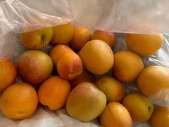 -特克斯八卦城