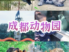 -成都动物园