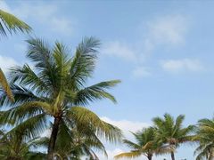 -白沙门生态公园