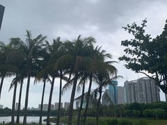-万绿园