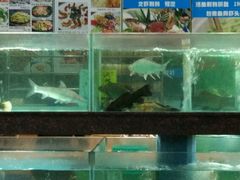 -聚家渔村·寻味顺德(大良店)