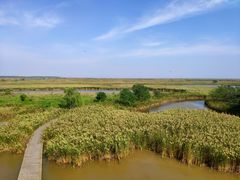 -盐城丹顶鹤湿地生态旅游区