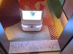 -小倩倩•鸡汤馄饨(江西路创始店)