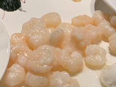 -碧丽宫大酒店(召稼楼店)
