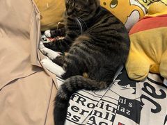 -Oolong乌龙茶古着店