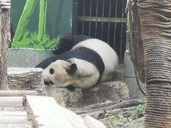 -南昌动物园