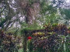 -海南热带野生动植物园