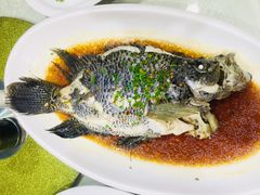 -石湖大酒店(桐泾店)