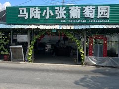 -马陆小张葡萄园农家乐