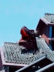 -恐龙探索乐园(磁器口店)