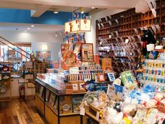 零售区-猫的天空之城概念书店(束河店)