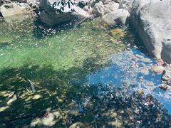 -大鄣山卧龙谷景区