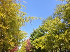 -辽宁大学(崇山校区)