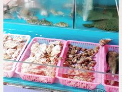 水产区-1910老鲁味海鲜·戳子肉·青岛菜(金沙滩店)