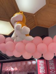-心联形象设计·流星染
