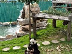 -西霞口神雕山野生动物世界