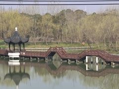 -广富林郊野公园