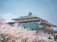 -武汉大学-樱园