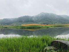 -径山花海