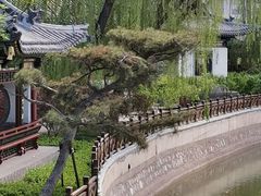 -迎泽公园