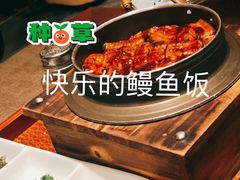 特上鳗鱼饭-伊藤ITO(侨福芳草地购物中心店)