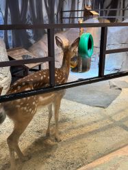 -酷嗒动物文化乐园(cutezoo西溪乐天城店)