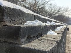-北陵公园