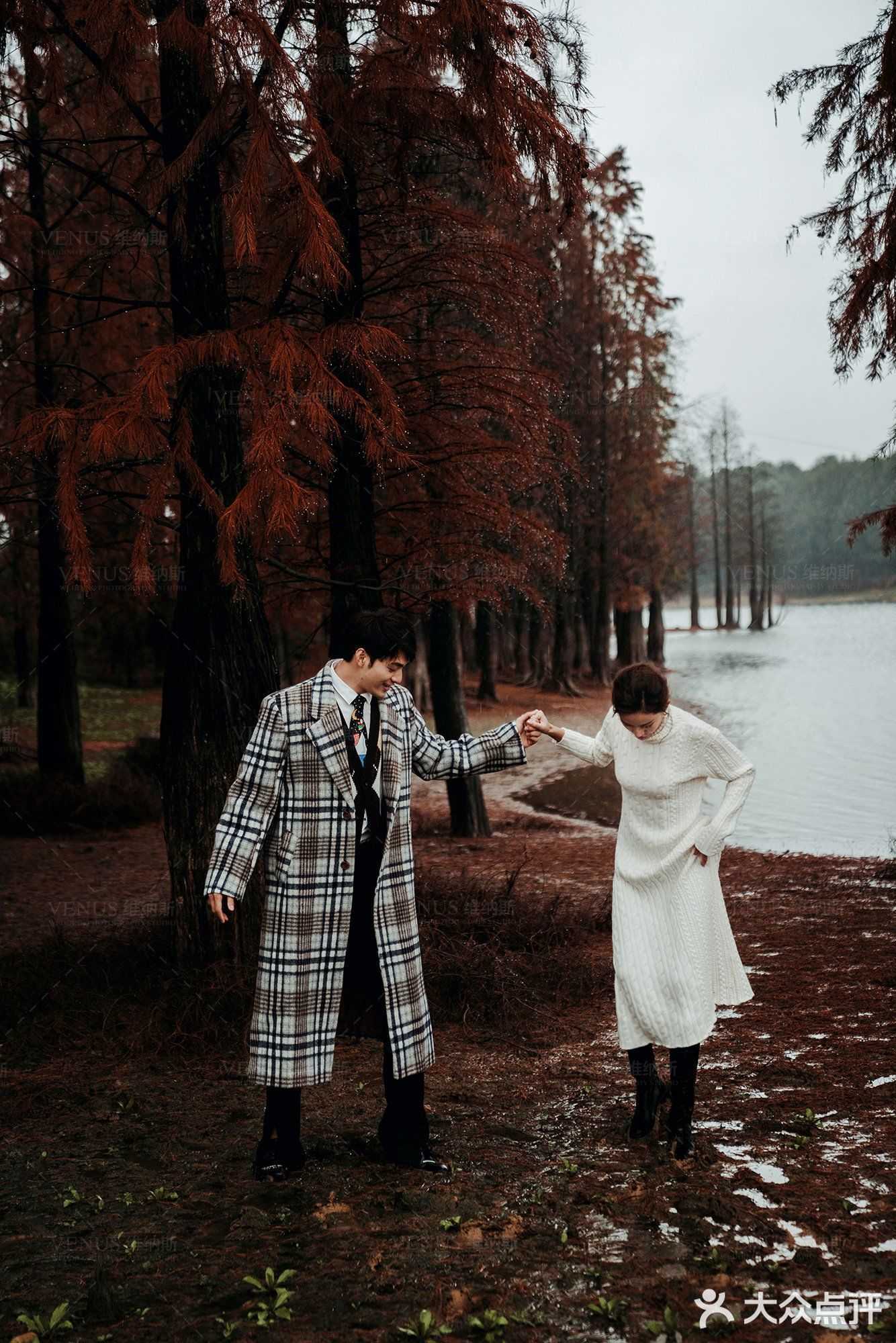 秋意红杉林婚纱照🍂如痴如画，美得动魄惊心！