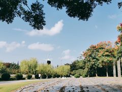 -上海鲜花港