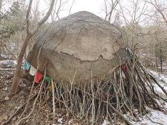 -白水寺森林公园