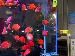 -朱光玉火锅馆(正弘城店)