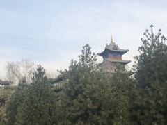 -迎泽公园