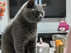 -茂名道烧饼王(海地店)