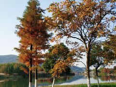 -长广溪湿地公园