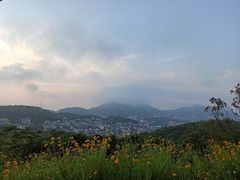 -枸杞岛