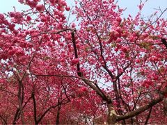 -昆明动物园