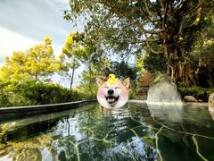 -和顺柏联温泉