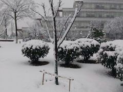-南京财经大学(仙林校区)
