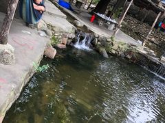 -青龙潭鱼庄