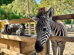 -水上乐园·欢乐世界