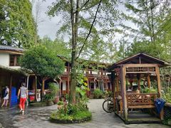 -青城甲(青城山店)