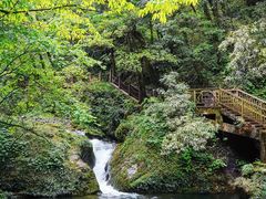 -瓦屋山景区