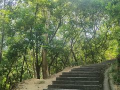 -火炉山森林公园