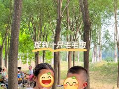 -东郊湿地公园