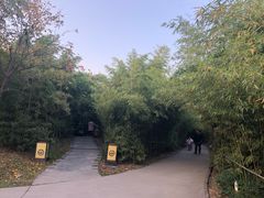 -西安汉城湖景区