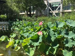 -复旦大学光华楼