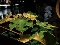 -萧山体育中心