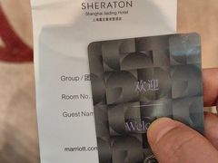 -上海嘉定喜来登酒店