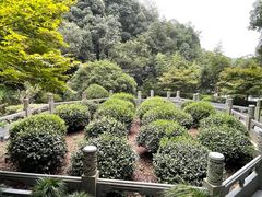 -十八棵（老龙井）御茶园(老龙井店)