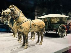 -秦始皇帝陵博物院-丽山园